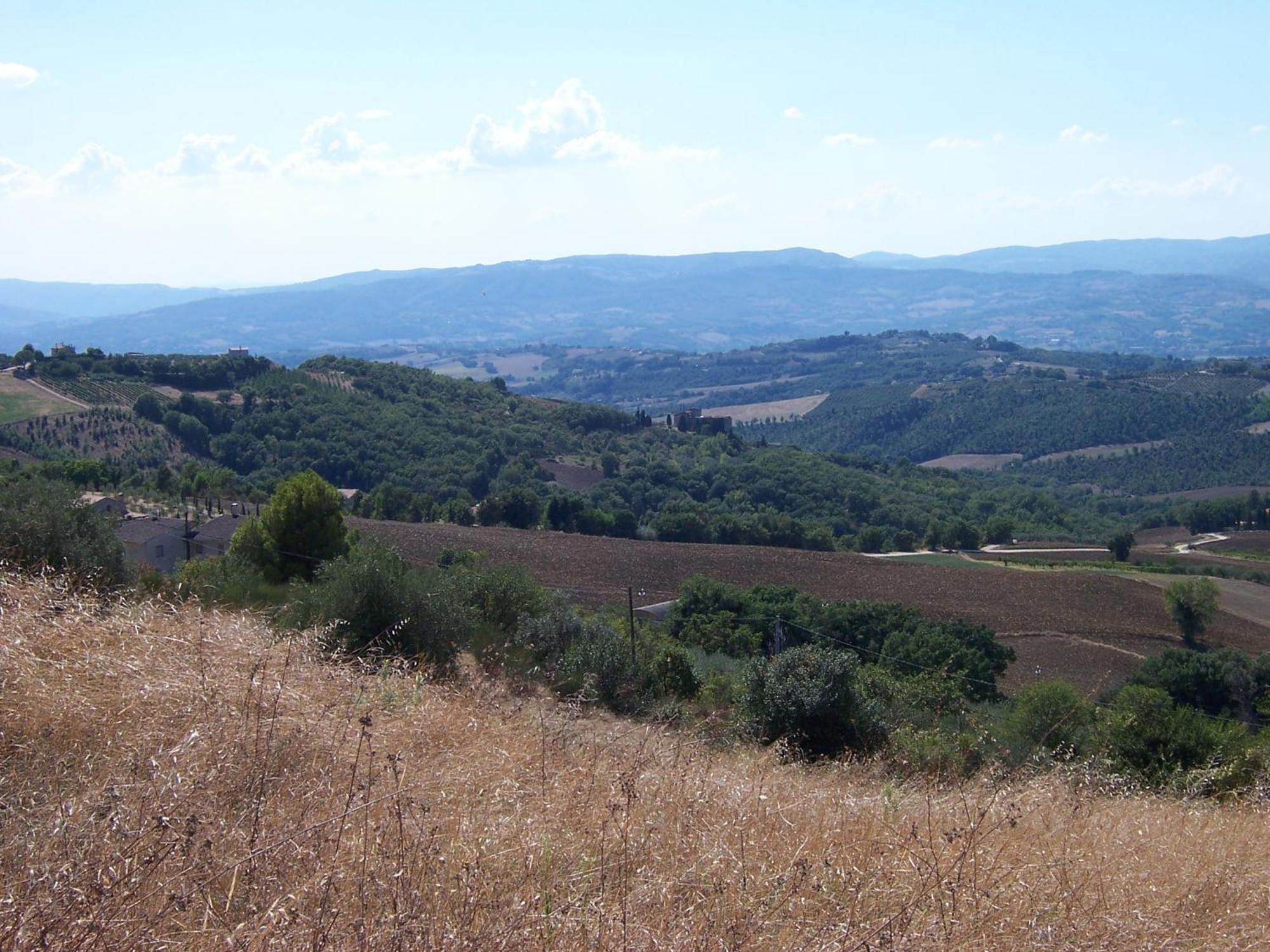 Agriturismo La Casella San Terenziano Ngoại thất bức ảnh